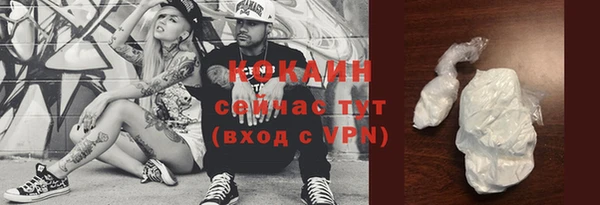 дмт Заводоуковск