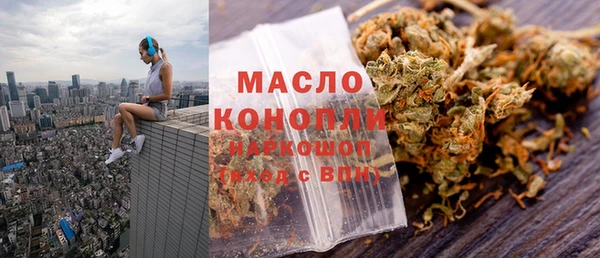 дмт Инта