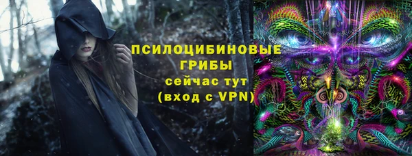 дмт Заволжск