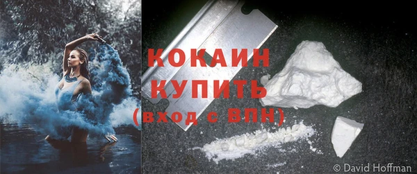 дмт Заводоуковск