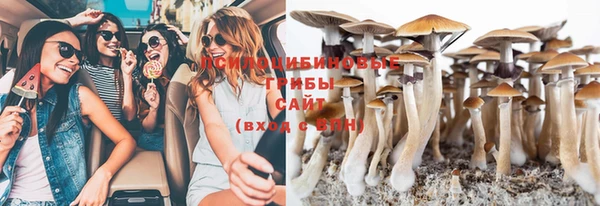 дмт Заволжск