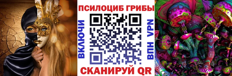 Псилоцибиновые грибы GOLDEN TEACHER Кинель
