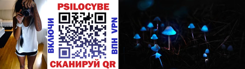 Купить где  Кинель  Псилоцибиновые грибы Cubensis 